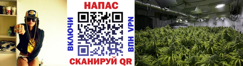 Наркошоп купить Канабис Меф КОКАИН ГЕРОИН ГАШИШ Беслан