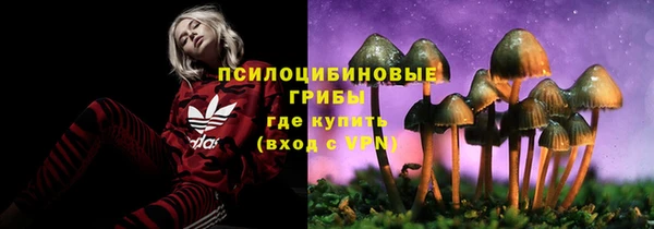 шишки Верхний Тагил