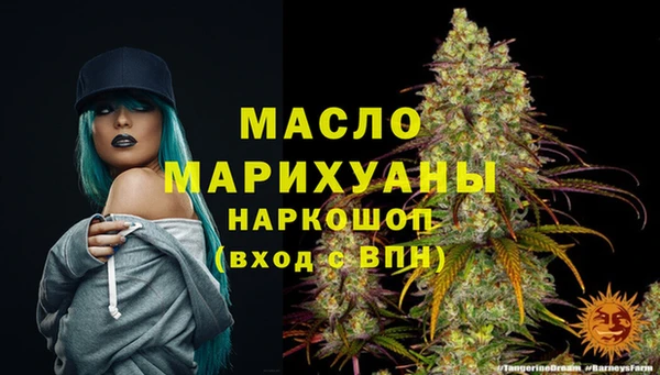шишки Верхний Тагил