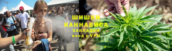 шишки Верхний Тагил