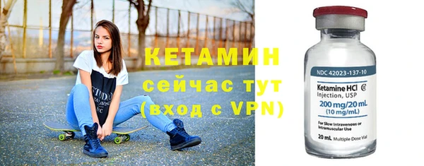 шишки Верхний Тагил